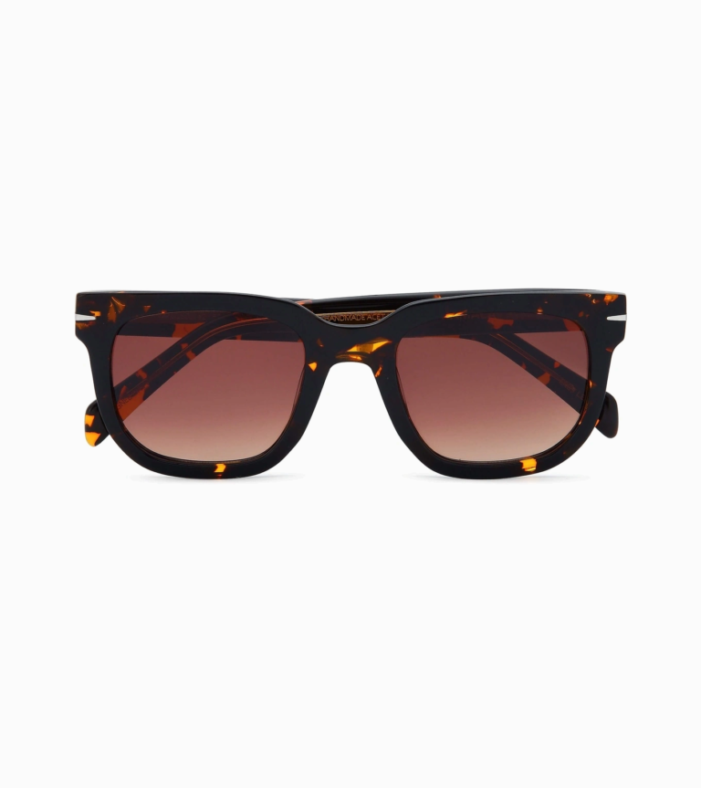 Gafas Kamala IMPULSO V2 TORTOISE